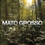 Mato Grosso por Rai Reis (e-book gratuito)